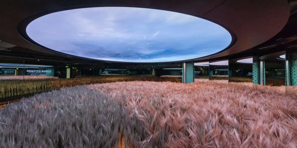 The barley ingredients hall beneath the circular skylight on the ground floor