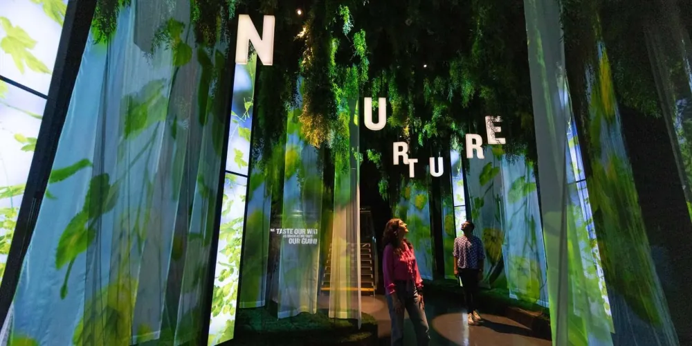 The immersive projection-and-greenery experience floor at the Guinness Storehouse